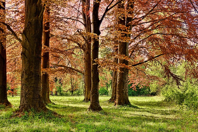 illusztráció (pixabay.com)