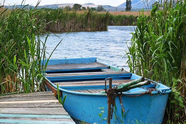 illusztráció (pixabay.com)