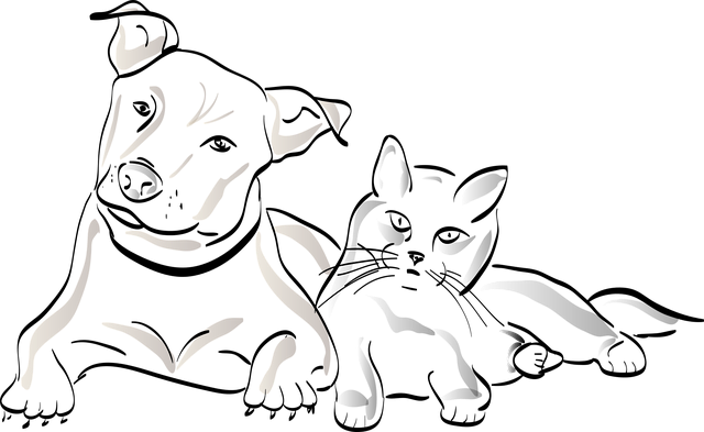 illusztráció (pixabay.com)