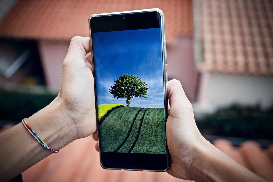 illusztráció (pixabay.com)