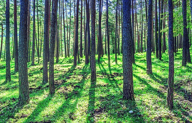 Forrás: a képre kattintva olvasható. Illusztráció (pixabay.com)