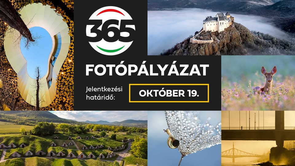 Forrás: a képre kattintva olvasható.