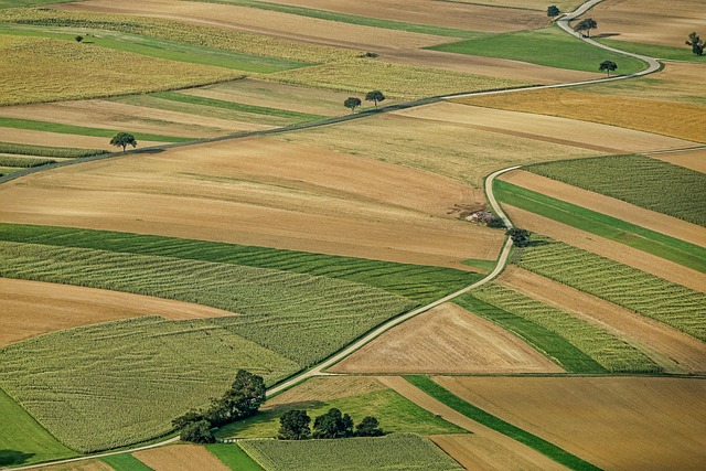 Forrás: a képre kattintva olvasható. Illusztráció (pixabay.com)
