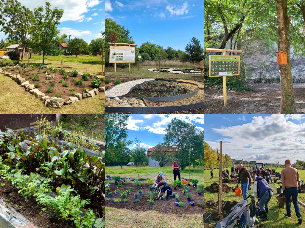 Forrás: a képre kattintva olvasható.