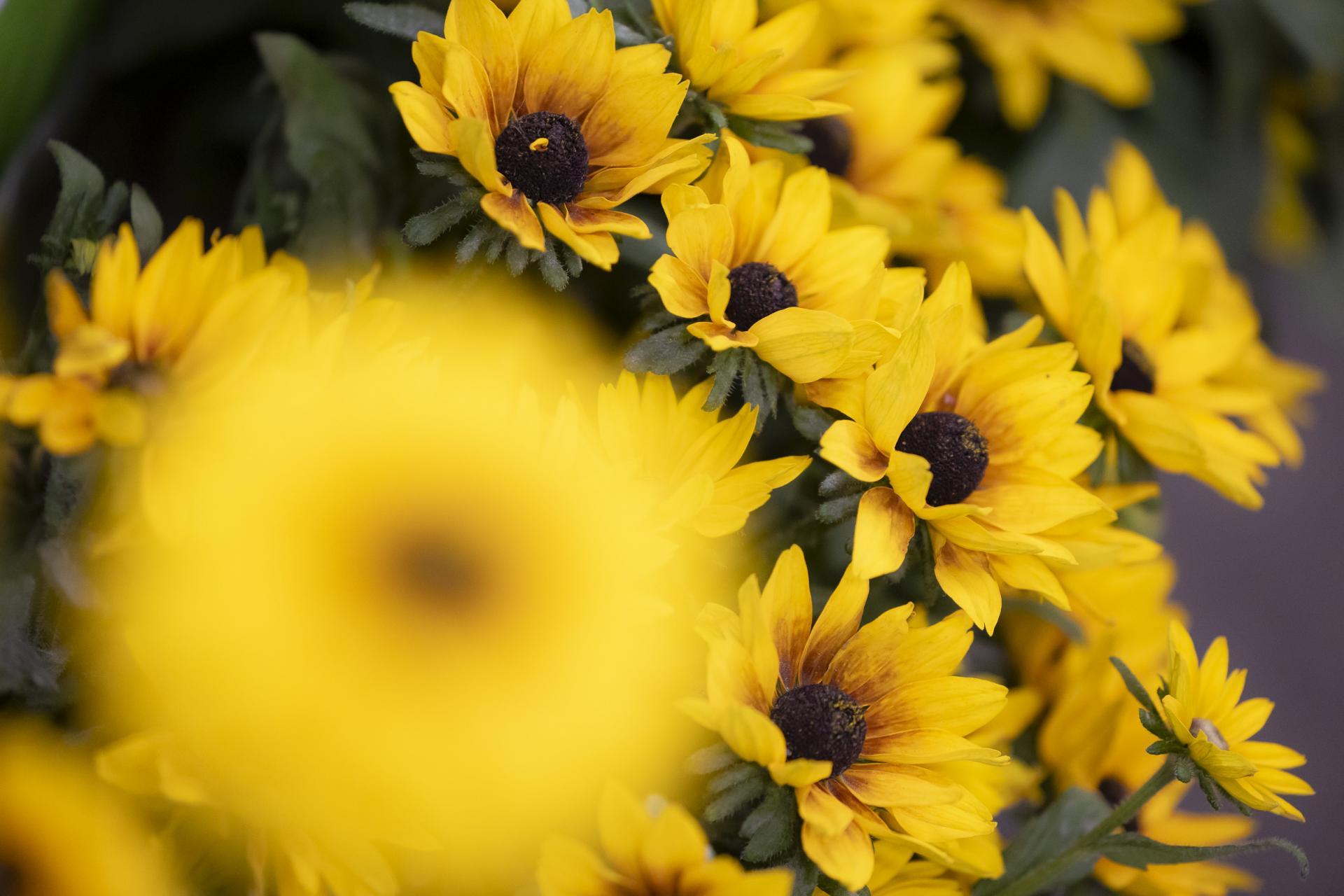 Forrás: a képre kattintva olvasható.