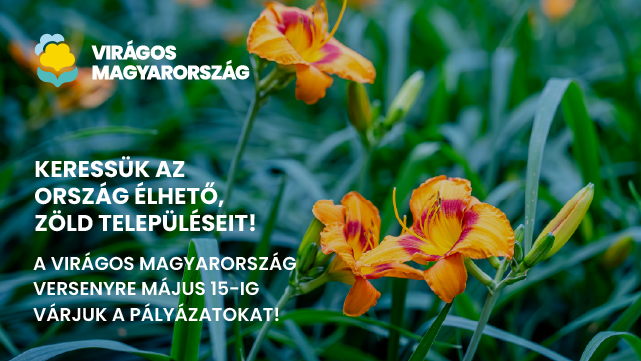 Forrás: a képre kattintva olvasható.