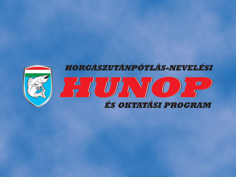 Forrás: a képre kattintva olvasható.