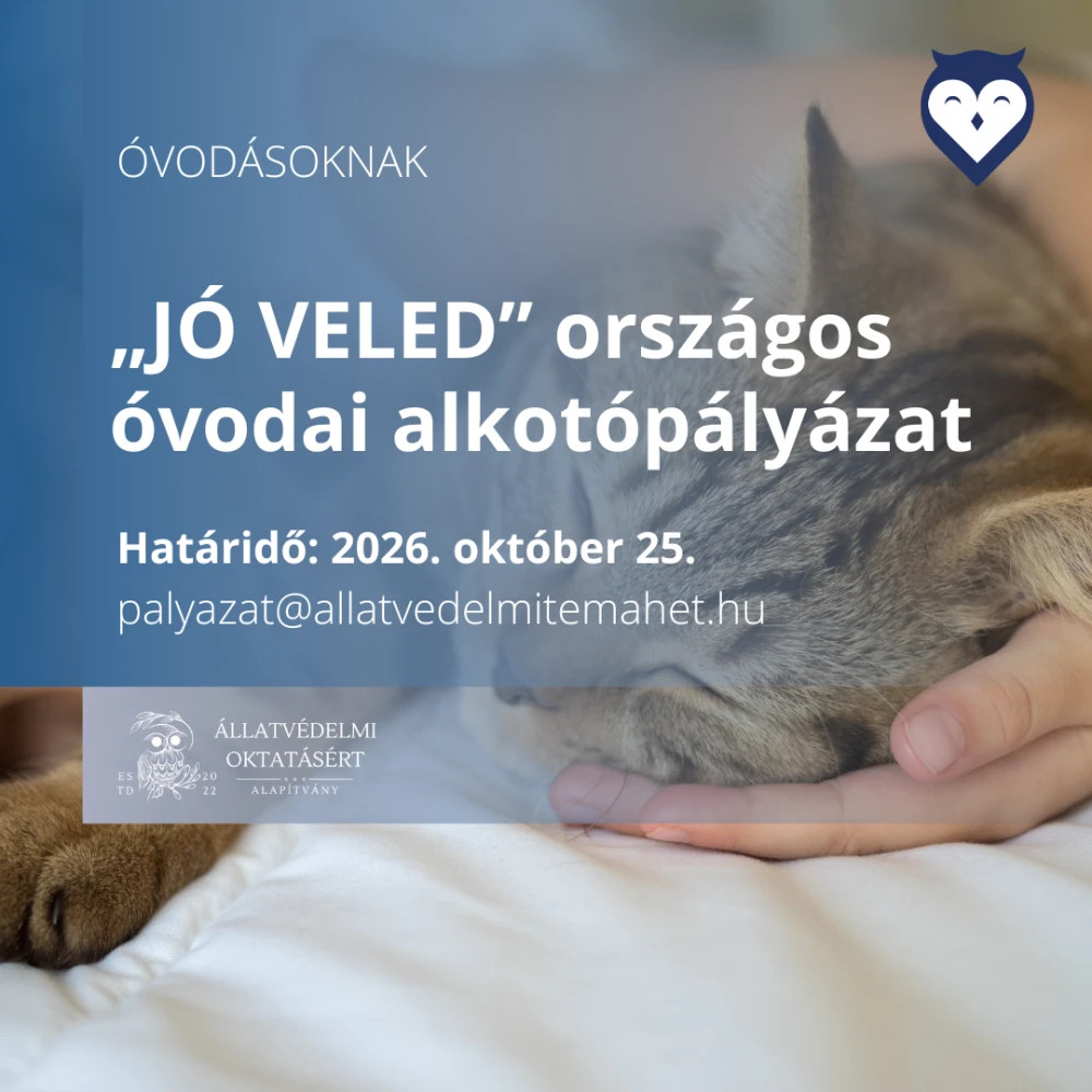 Forrás: a képre kattintva olvasható.