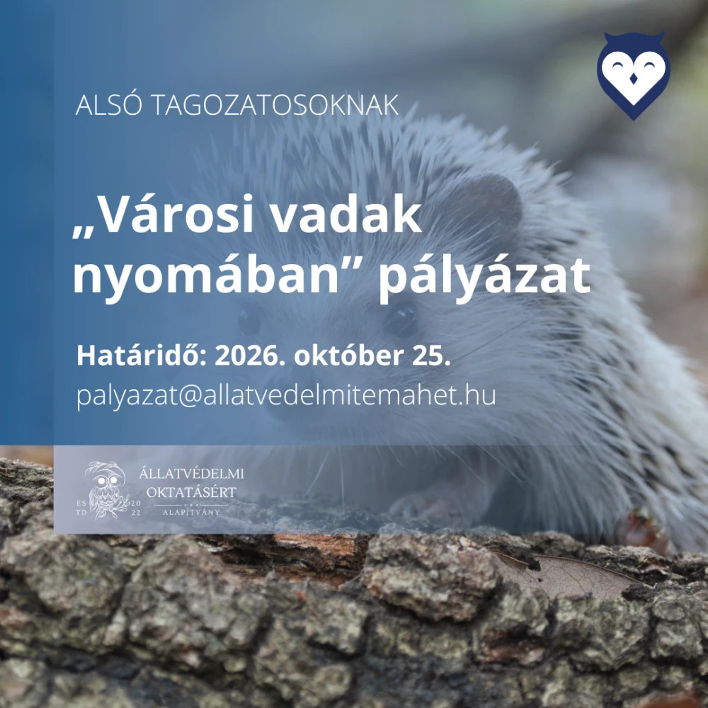 Forrás: a képre kattintva olvasható.