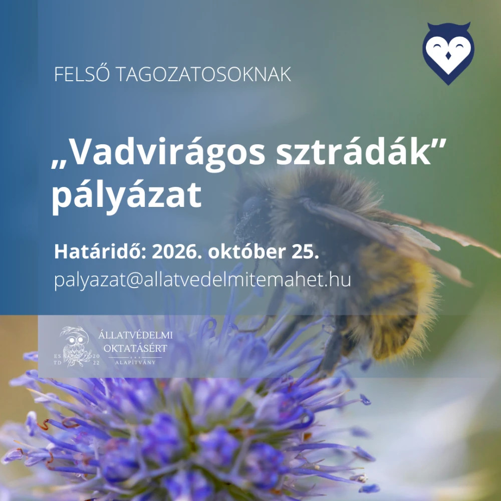 Forrás: a képre kattintva olvasható.