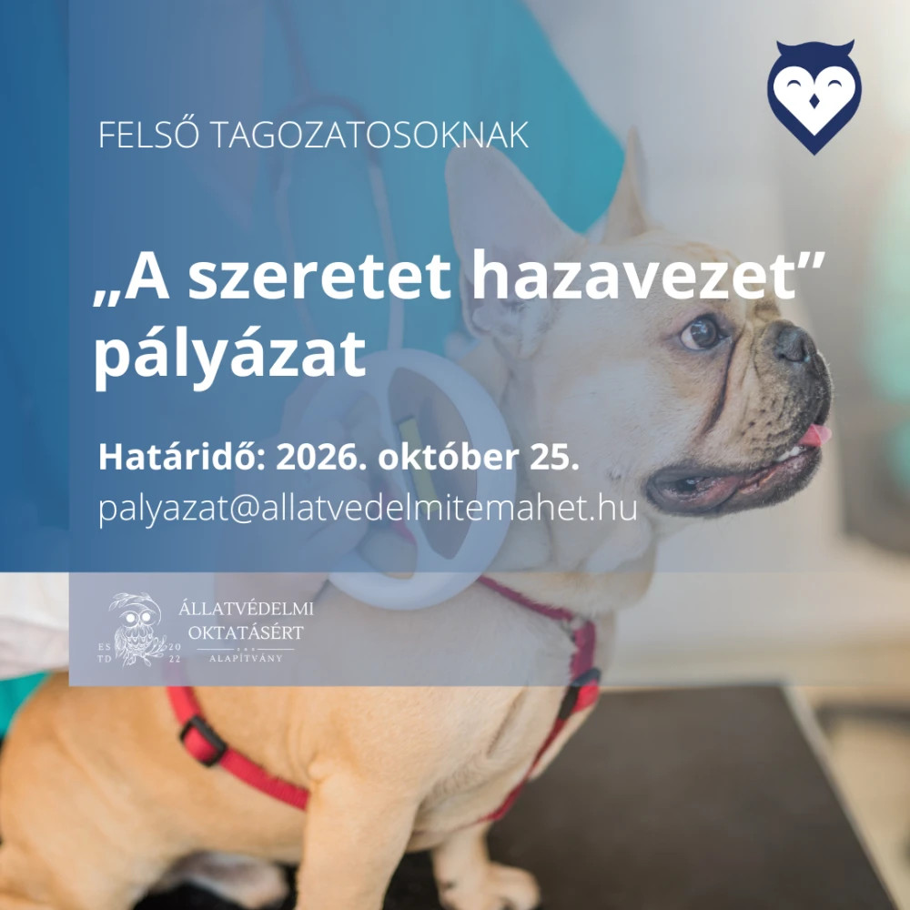 Forrás: a képre kattintva olvasható.