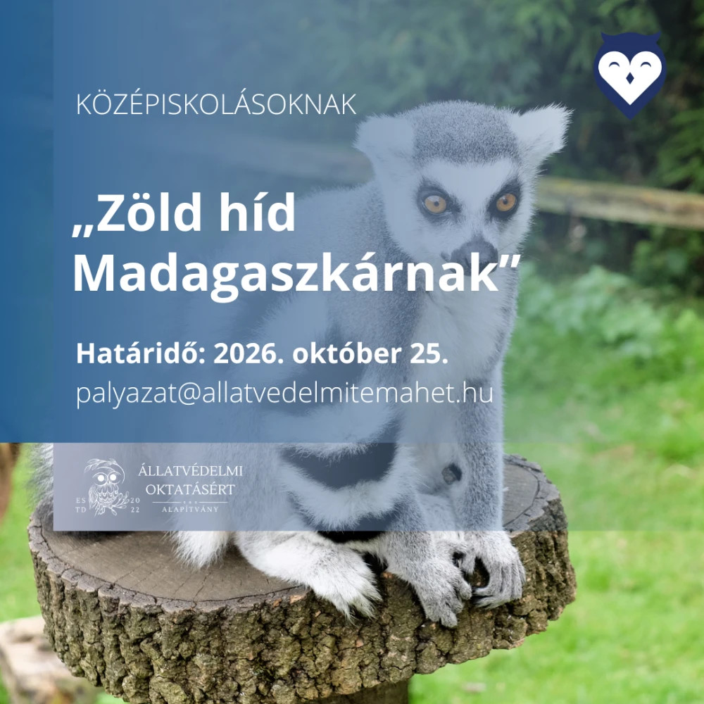 Forrás: a képre kattintva olvasható.