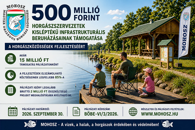 Forrás: a képre kattintva olvasható.